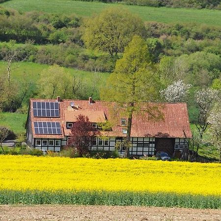 Apartamento Forsthaus Wilmeroederberg Polle Exterior foto