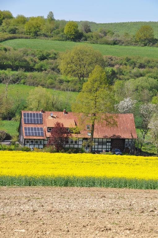 Apartamento Forsthaus Wilmeroederberg Polle Exterior foto